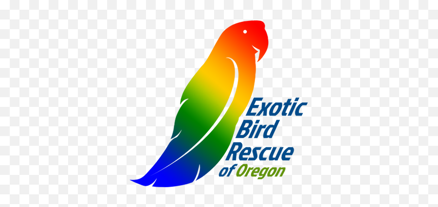 Exotic Bird Rescue Available Birds - Vertical Emoji,Cockatiel Emotions
