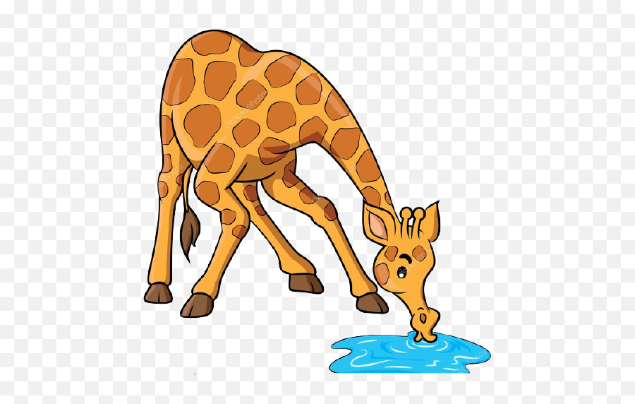 Animal Quiz - Baamboozle Giraffe Drinking Water Cartoon Emoji,Giraffe Emoji