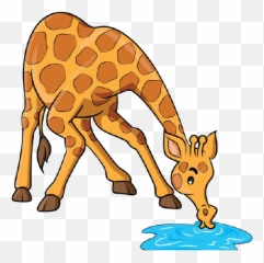 Animal Quiz - Baamboozle Giraffe Drinking Water Cartoon Emoji,Giraffe Emoji