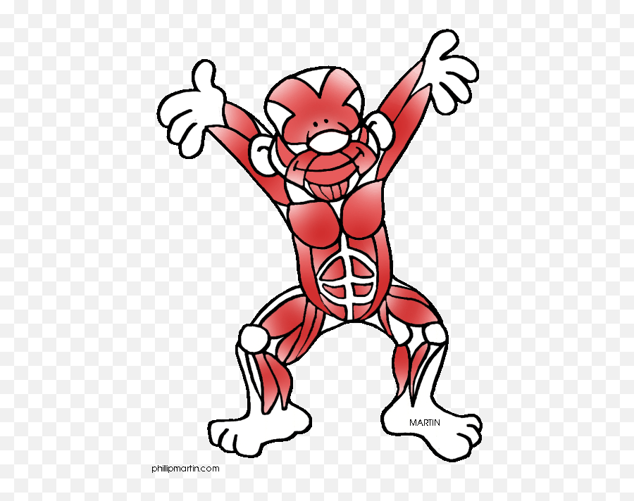 Free Muscle Cliparts Png Images - Muscular System Clipart Emoji,How To Make A Muscle Arm Emoticon