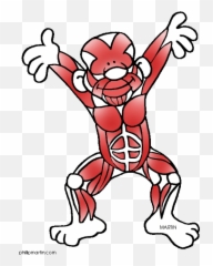 Free Muscle Cliparts Png Images - Muscular System Clipart Emoji,How To Make A Muscle Arm Emoticon
