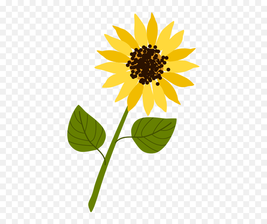 Sunflower Days Together For Hospice Dedicate A Virtual - Fresh Emoji,Facebook Sunflower Emoticons