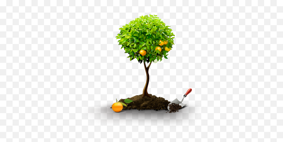 Wellbeing Practitioners - Fertilizer Png Emoji,Emotrance: Emotions, Energy, Information & Love