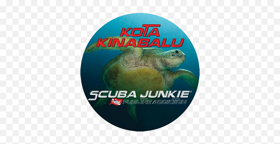Scuba Diving Age Restrictions Scuba Junkie Kk Emoji,Scuba Emotion