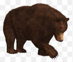 Hibernating Bear - Bear Png Emoji,Black Bear Emoji
