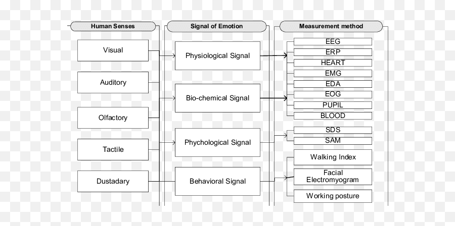 Assessment Methods Of Human Emotion Download Scientific - Vertical Emoji,The Emotion Of Color