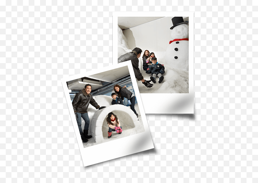 2016 - Dare To Be Wise Photographic Paper Emoji,Experiencing Positive Emotions Professional And Year?trackid=sp-006
