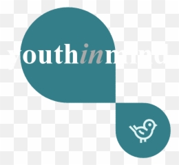 Faq Youthinmind - Length Converter Emoji,List Of Emotion Questionnaires