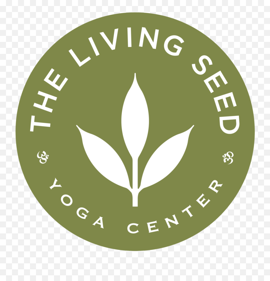 Instructors U2014 The Living Seed Yoga U0026 Holistic Health Center - Language Emoji,Emotions Yin Objectivity Yang