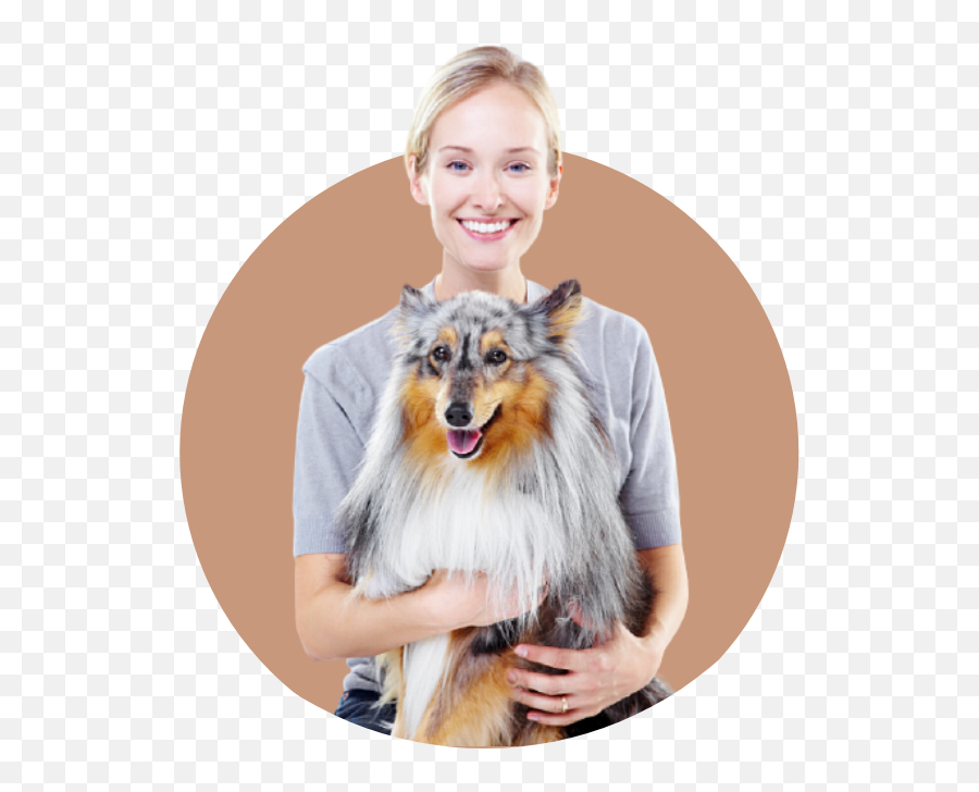Emotional Support Animal Letter - Rough Collie Emoji,Dogs Emotions