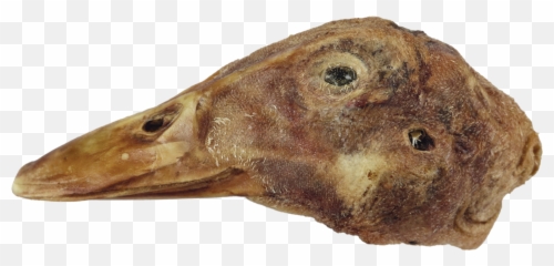 Vital Essentials Single Freeze - Dried Duck Head Emoji,Ducky Emotion