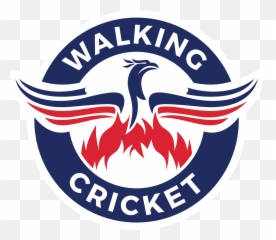 Are You A Walking Cricket Umpire Or Know One Who Would Like Emoji,Crickets Emoji Png