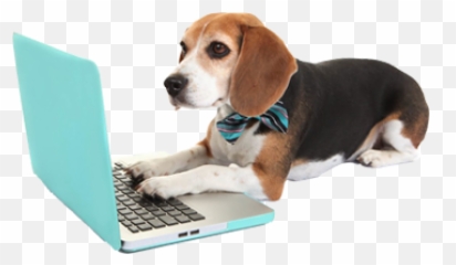 Dog Walker Job Petbacker Emoji,Dog Emoji Wechat
