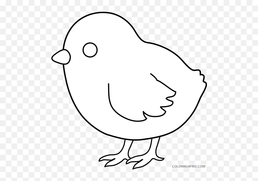 Black And White Chicken Coloring Pages Cute Chicken Bfree - Chick Coloring Pages Simple Emoji,Chicken Hatching Emoji