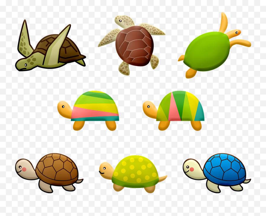 Free Photo Nature Turtle Anchor Colorful Wildlife Ocean Emoji,Turtle Emotions