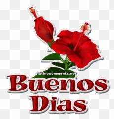 Top Felicia Tong Stickers For Android U0026 Ios Gfycat - Buenos Dias Flowers Gif Emoji,Emoticons Tong Uitsteken