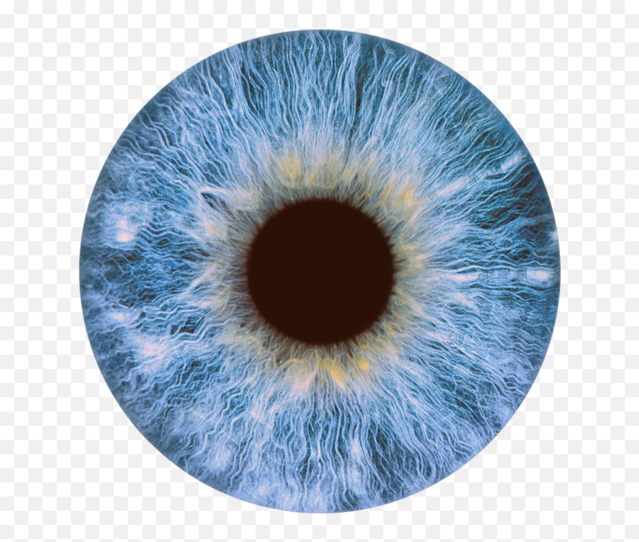 Eye Contact Blue Blueeye Sticker - Eye Lens Png Hd Emoji,Eyeshift Emoticon