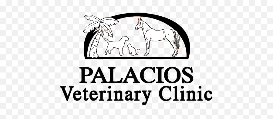 Palacios Veterinary Clinic - Veterinarian In Palacios Tx Language Emoji,What Is An Emotion Support Animal