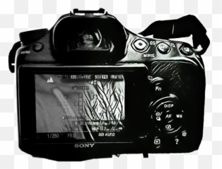 Camera Films Sticker By Nikanoo712006 - Digital Slr Emoji,Film Camera Emoji