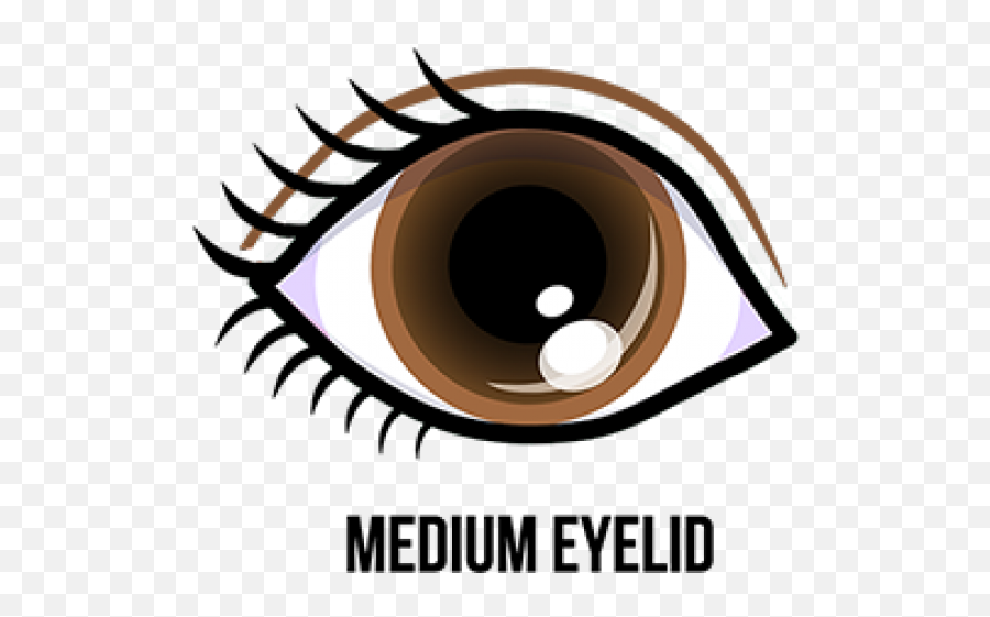 Brown Eyes Png High - Quality Image Png Arts Eye Clipart Emoji,Why Do Emojis All Have Brown Eyes