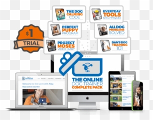 The Online Dog Trainer From Doggy Dan - Sharing Emoji,Subtitle For Reason, Emotion, And Communication In Everyday Critical Thinking