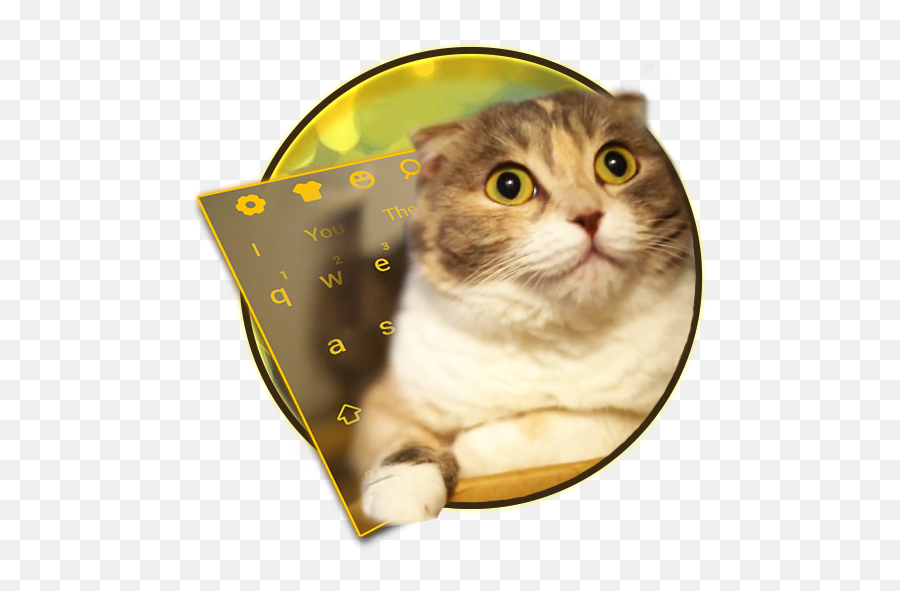 2021 3d Live Chubby Cute Kitty Keyboard Pc Android App - Scottish Fold Emoji,Kitten Emoticons