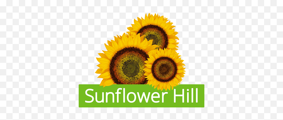 Sunflower Hill To Host Fundraiser News Independentnewscom - Sunflower Hill Logo Emoji,Facebook Sunflower Emoticons