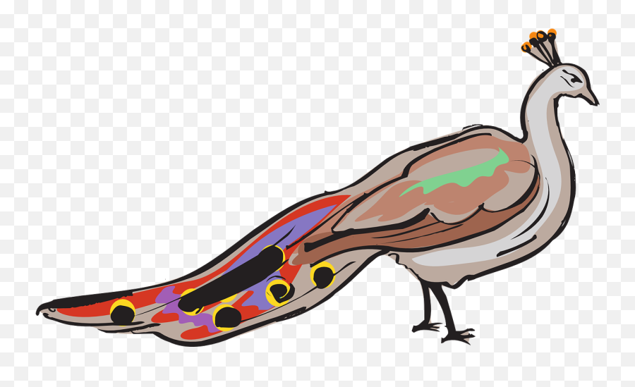 Httpswwwpicpngcomwhite - Birdduckwingslandingpng Emoji,Adult Emojis Peacock Feather Drawing