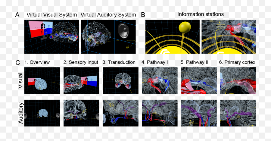 News U2013 Schloss Visual Reasoning Lab Emoji,Emotion Perceptual Set