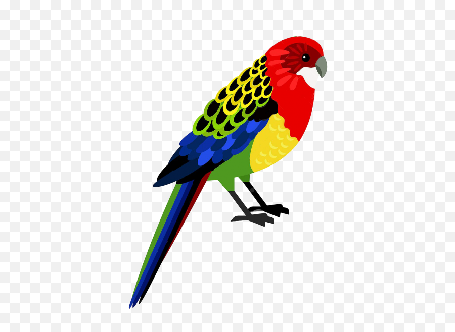 Together At Home New Zealand Geographic Emoji,Parrot Emotion Signs