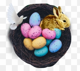 Happy Egg Day Sticker By Mmcls1 - Resurrection Scavenger Hunt Emoji,Emoji Rabbit And Egg