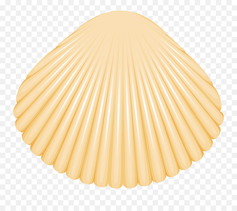 Clam Shell - Real Clam Shell Png Emoji,Shell Emoji