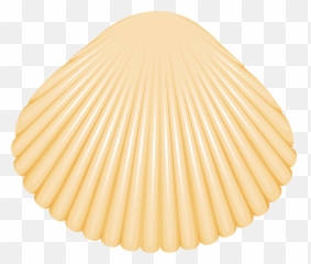 Clam Shell - Real Clam Shell Png Emoji,Shell Emoji