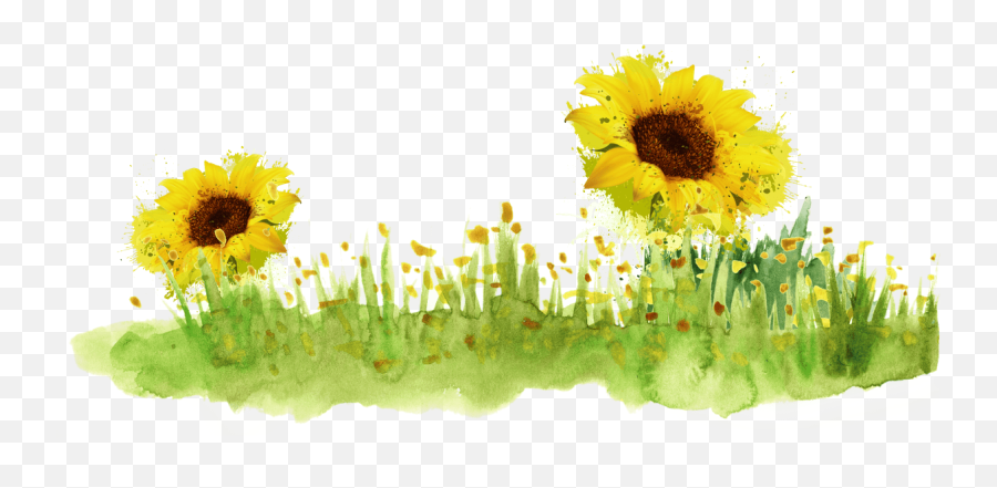 Package Design Company - Watercolor Grass Emoji,Sunflowers Emotion