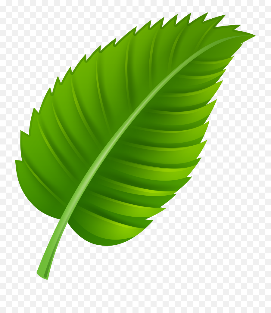 Clipart Leaf Transparent Background Clipart Leaf Emoji,Leaf Emoji Transparent