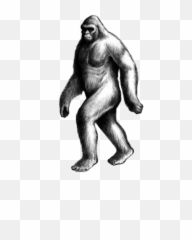 Handdrawn Bigfoot Sasquatch Sticker - Tales Of The Cryptids Emoji,Sasquatch Emoji