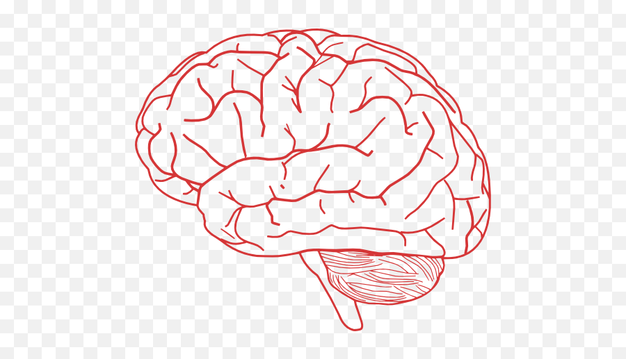 Brain Clip Art At Vector Clip Art Free Clipartcow - Clipartix Humano Dibujo Del Cerebro Emoji,Brain Emoji