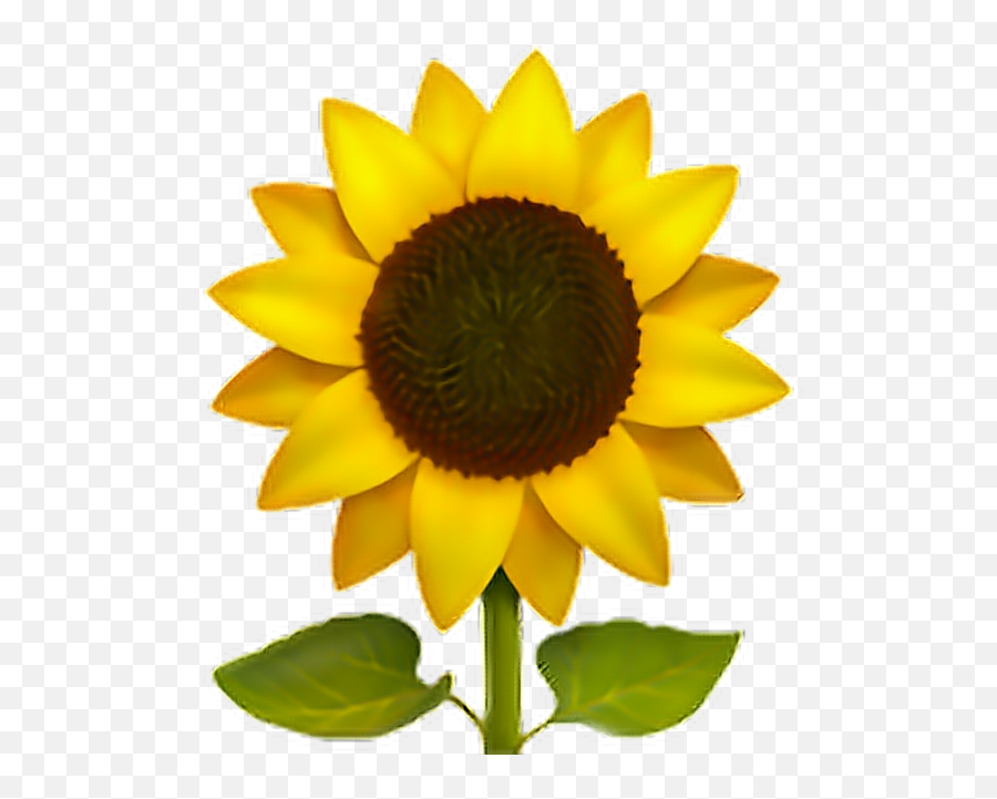 Sunflower Sun Flower Emoji Sticker - Transparent Sunflower Emoji Png,Sunflower Emoticon