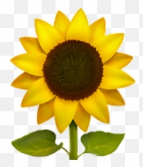 Sunflower Sun Flower Emoji Sticker - Transparent Sunflower Emoji Png,Sunflower Emoticon