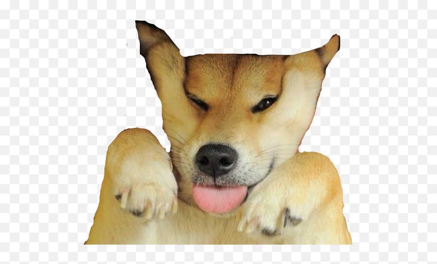 Doge Meme Png Emoji,Doge Emoji