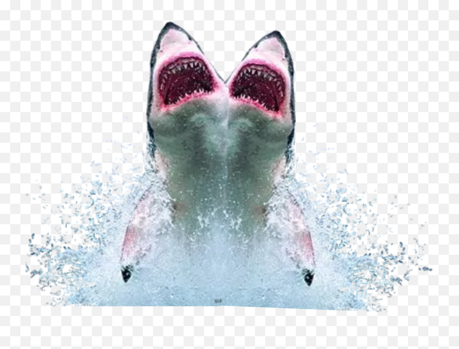 The Most Edited - Emoticon Shark Emoji,Wet Tongue Emoji
