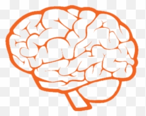 Health Concerns - Upper Cervical North Dallas Brain Calculation Emoji,Emoticon Musculo