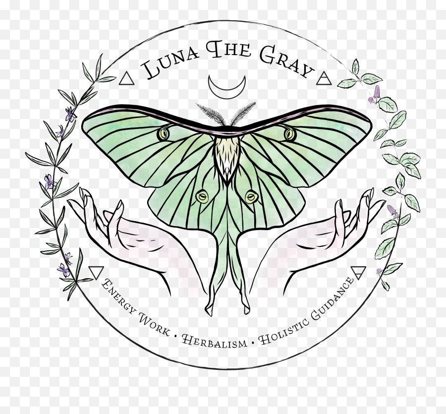 About Luna The Gray - Luna Moth Emoji,Can Luna Moths Feel Emotions