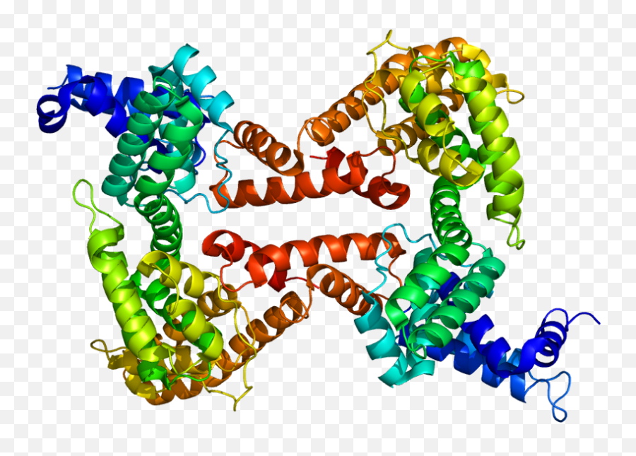 Vitamin D - Binding Protein Wikipedia Alfa 1 Globulina Emoji,D&d Facepalm Emoticon