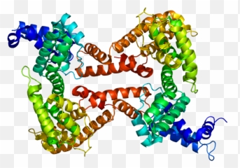 Vitamin D - Binding Protein Wikipedia Alfa 1 Globulina Emoji,D&d Facepalm Emoticon