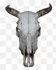 Skull Bone Beef Skull And Crossbones - Animal Skull No Background Emoji,Emotions Of A Skull