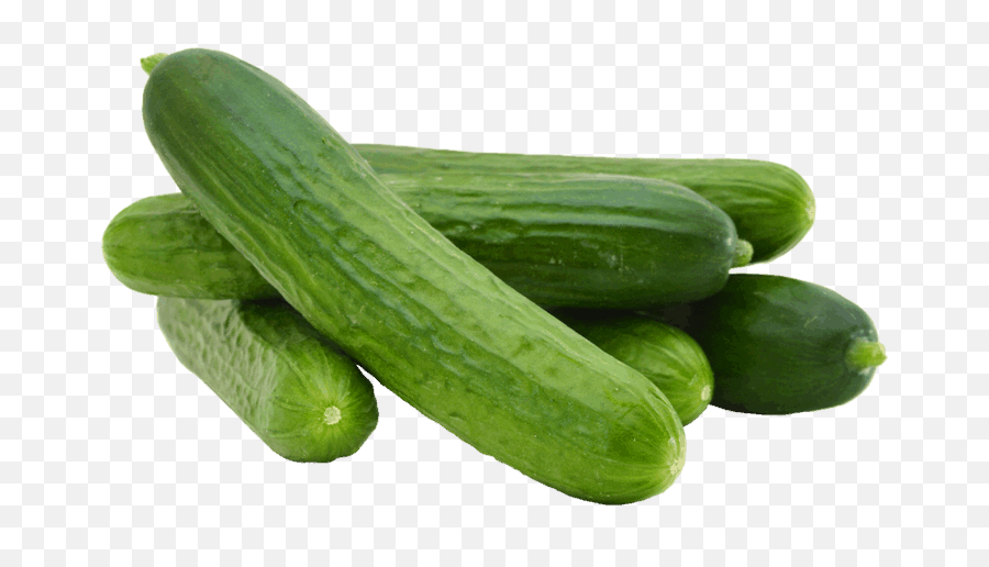 Pepino Png - High Quality Cucumber 4662757 Vippng Cucumber Kg Emoji,Cucumber Emoji