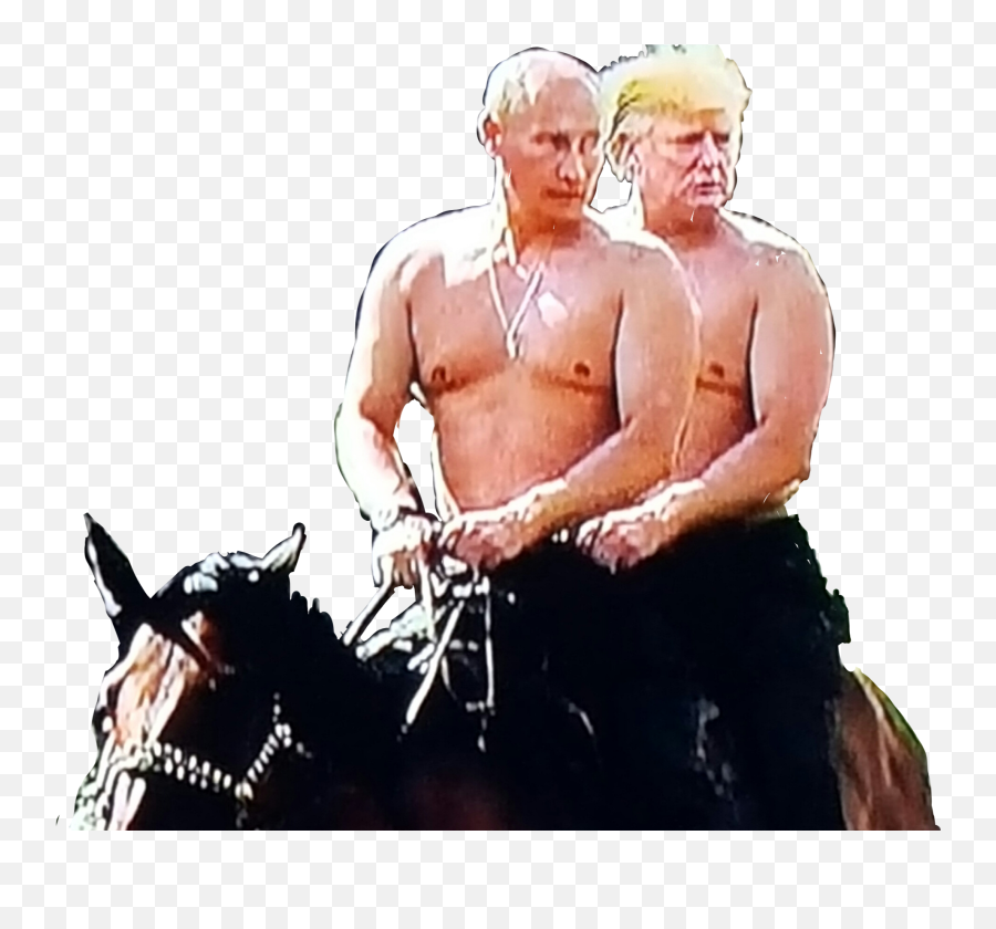 Brolove Trump Putin Horse Sticker - Rein Emoji,Horse And Muscle Emoji