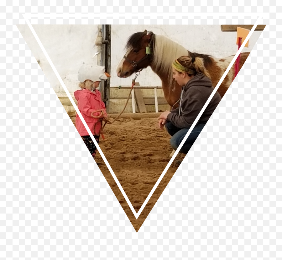 Success Ranch Eal - Halter Emoji,Horse Nose Emotion