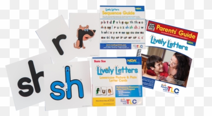 New Generation Lively Letters Basic Set For Parents Emoji,Emotion Sequence Cards